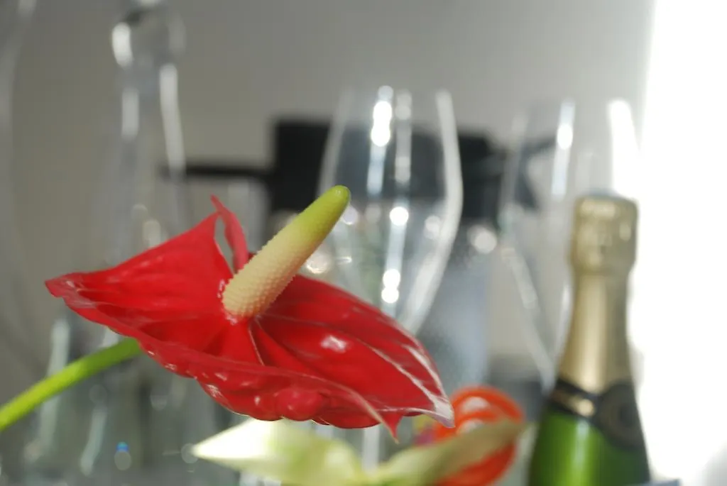 מרסיי Appartement Prado Borely 0*,  צרפת